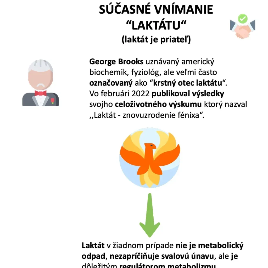 Ilustrácia fénixa k práci Georgea Brooksa nazvanej Laktát: znovuzrodenie fénixa