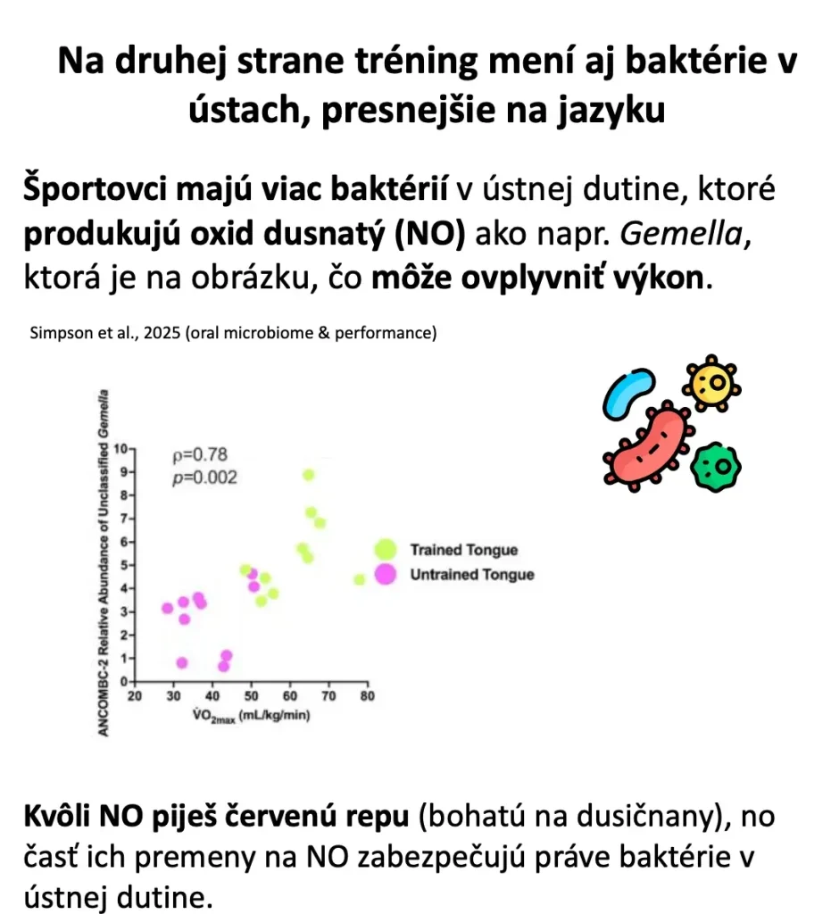 Bodový graf: vzťah medzi zastúpením baktérie Gemella na jazyku a hodnotou VO2max u trénovaných a netrénovaných
